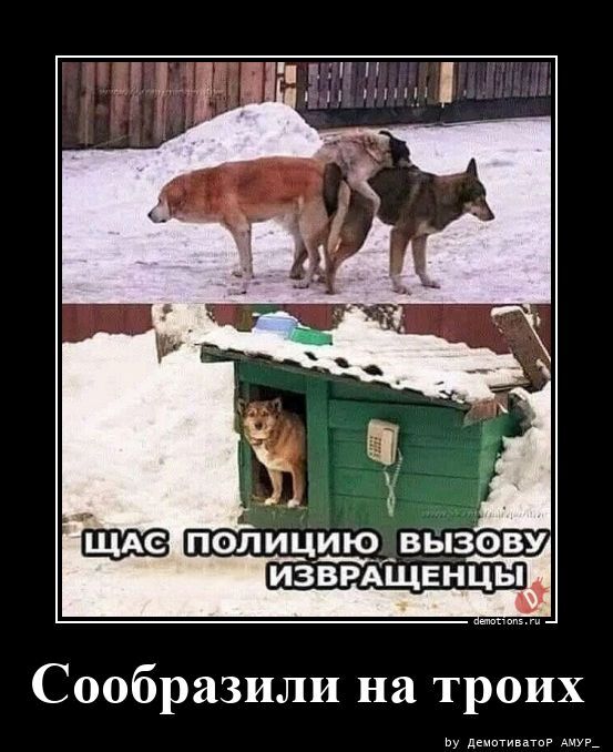 Демотиваторы на злобу дня