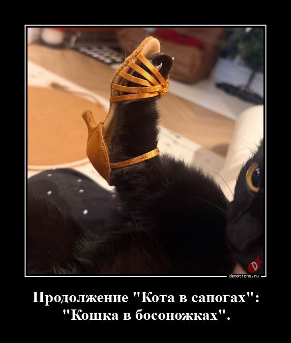 Демотиваторы на злобу дня