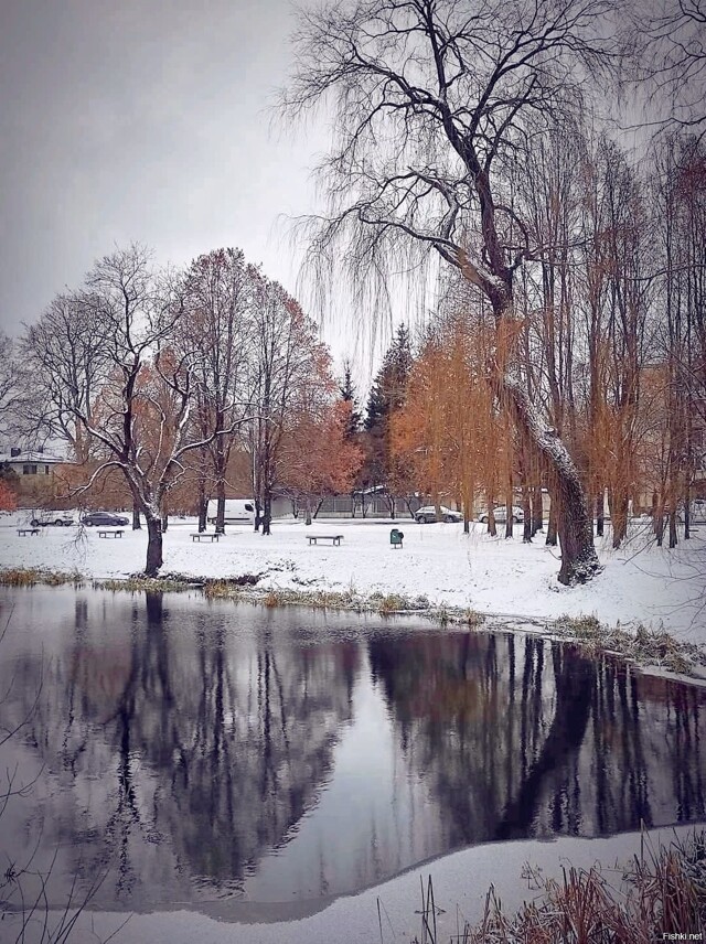 Солянка от 16.02.2026