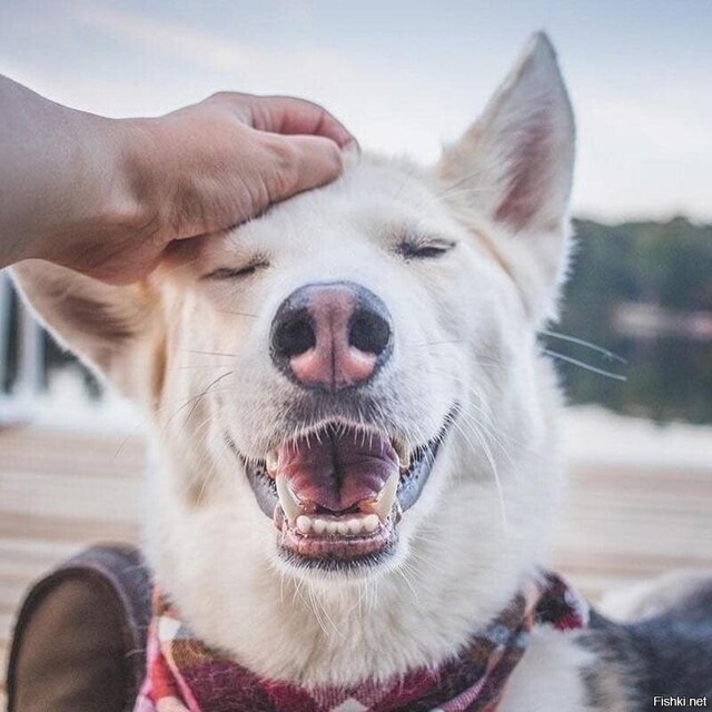 Солянка от 16.02.2026