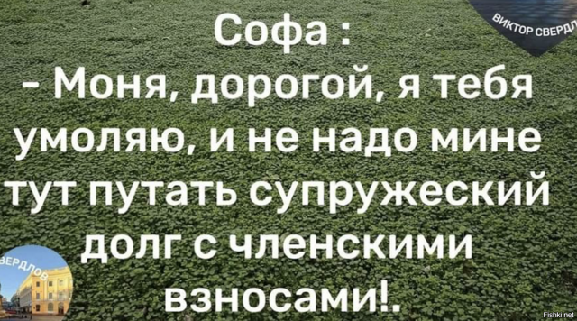 Солянка от 16.02.2026