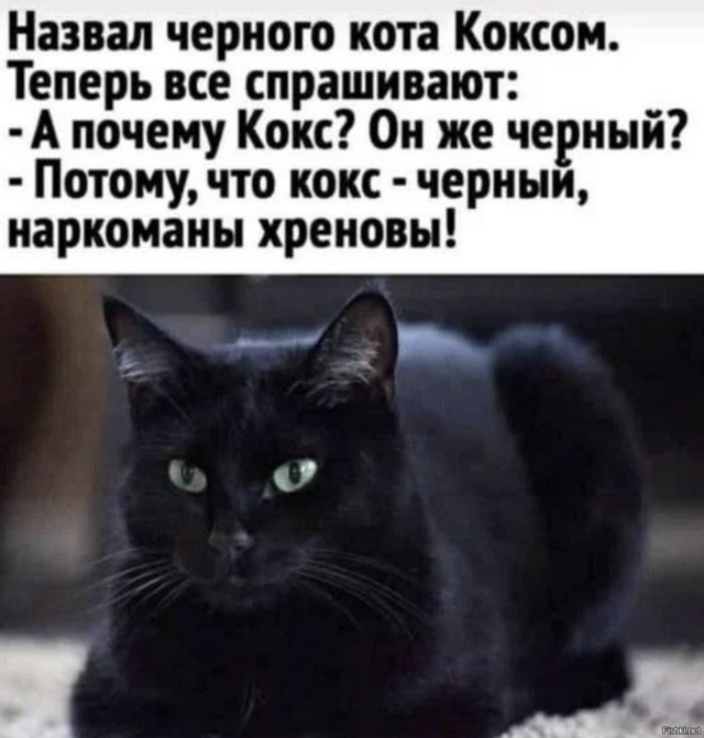 Солянка от 16.02.2026