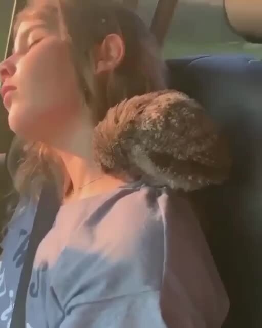 Поддерживающий сон)