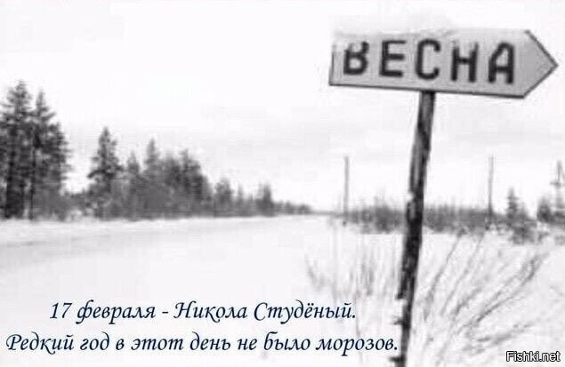 Солянка от 17.02.2026
