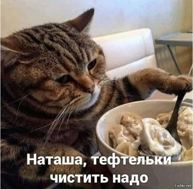 Солянка от 17.02.2026
