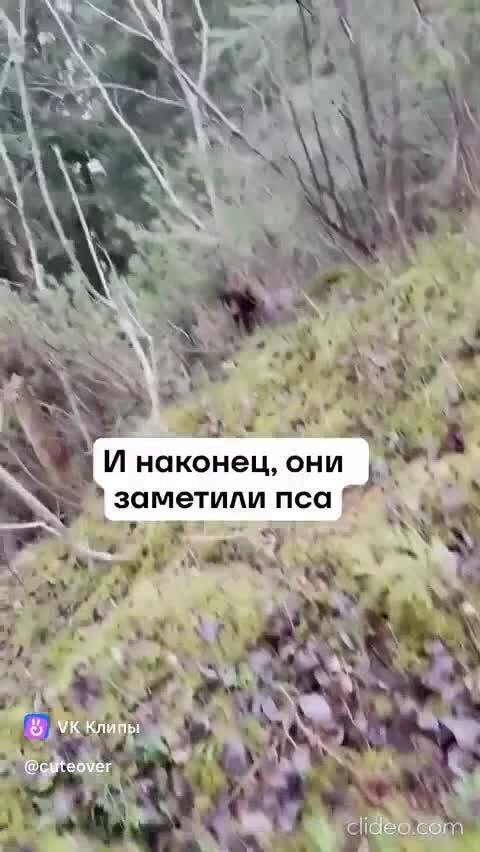 Солянка от 17.02.2026