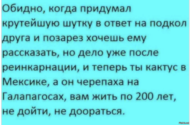 Солянка от 17.02.2026