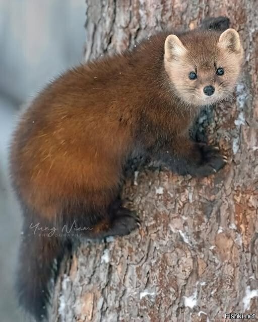 Солянка от 17.02.2026