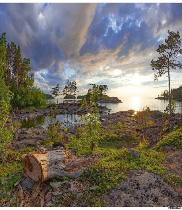 Солянка от 17.02.2026