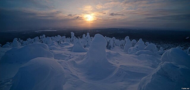 Солянка от 17.02.2026