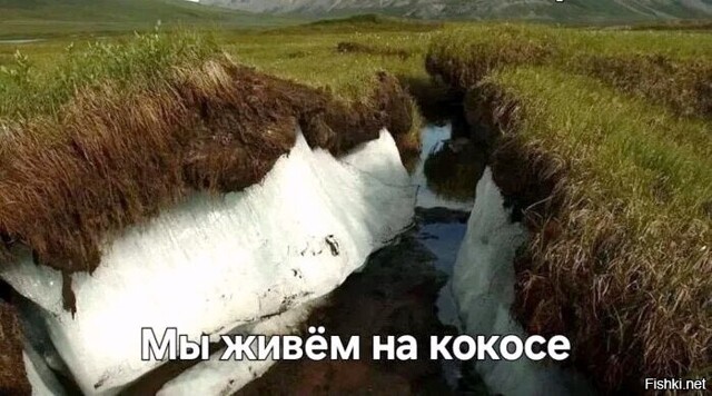 Солянка от 17.02.2026