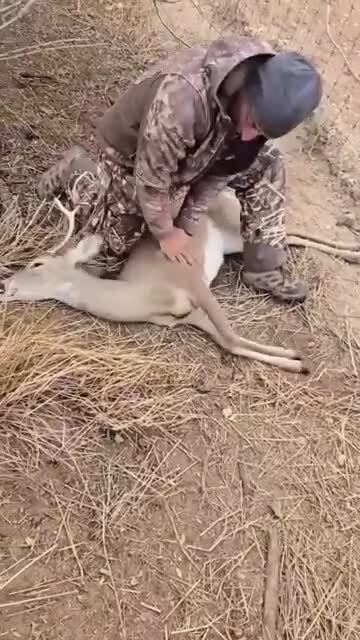 Реаниматор