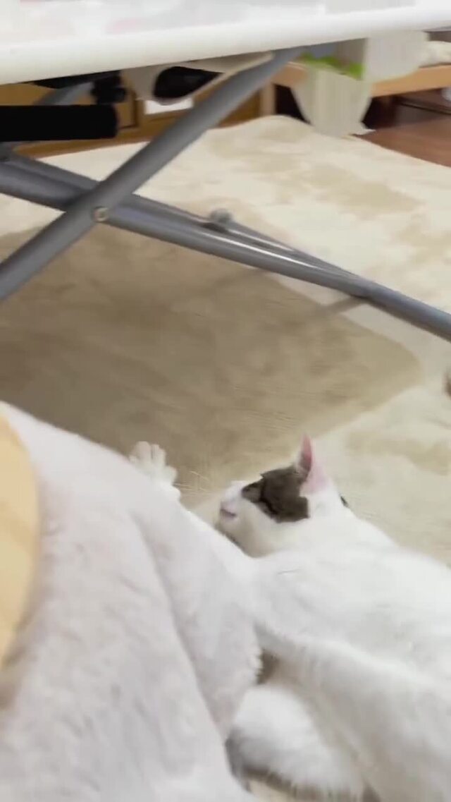 Солянка от 18.02.2026