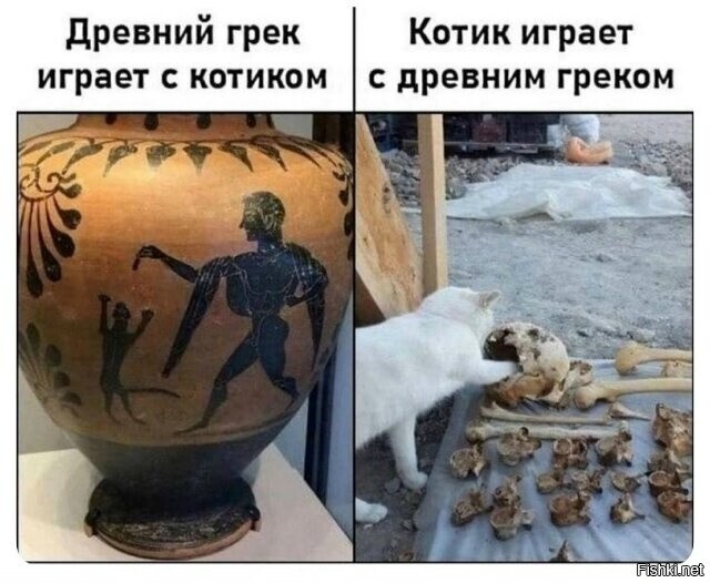 Солянка от 18.02.2026
