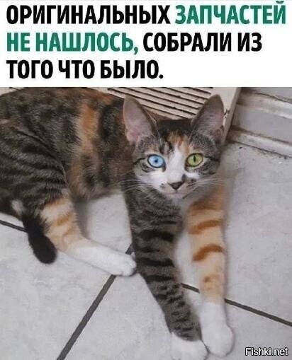 Солянка от 18.02.2026
