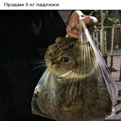 Солянка от 18.02.2026