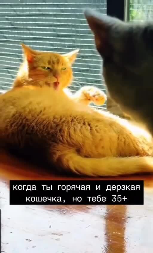 Солянка от 18.02.2026