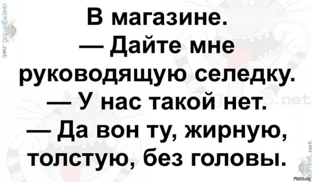 Солянка от 18.02.2026