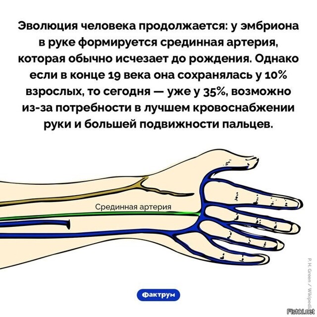 Интересно, а как работает отбор