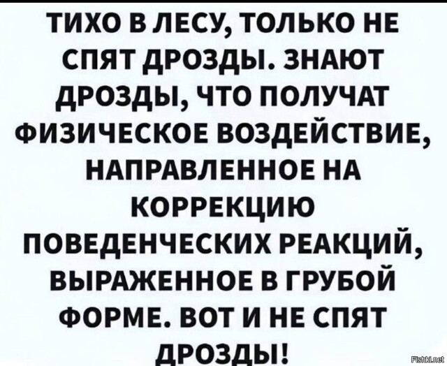 Солянка от 19.02.2026