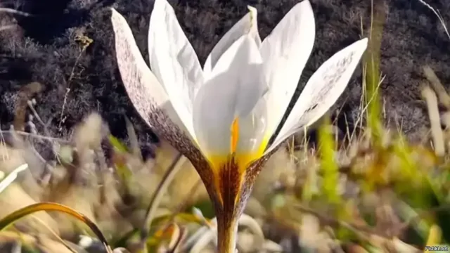 Сегодня самый жаркий февральский день в Алма-Ате за всю историю мониторинга п...