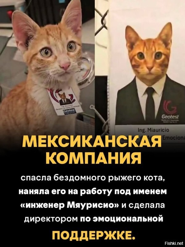 Солянка от 19.02.2026