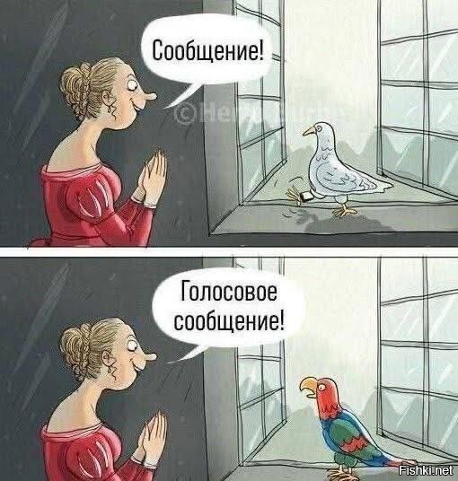 Солянка от 19.02.2026