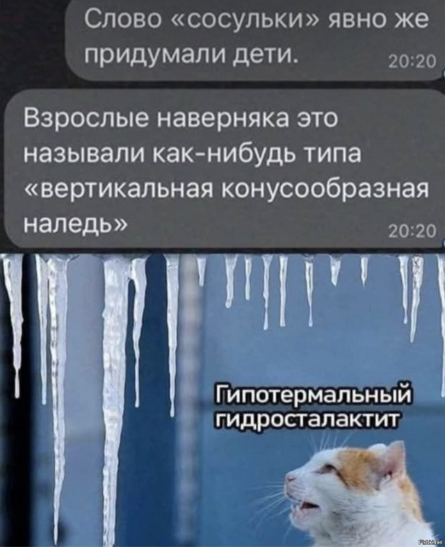 Солянка от 19.02.2026