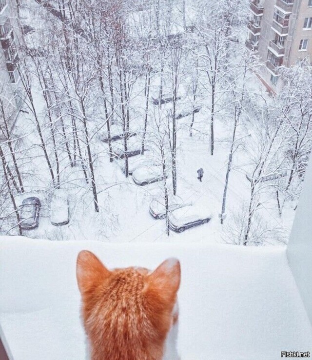 Солянка от 19.02.2026