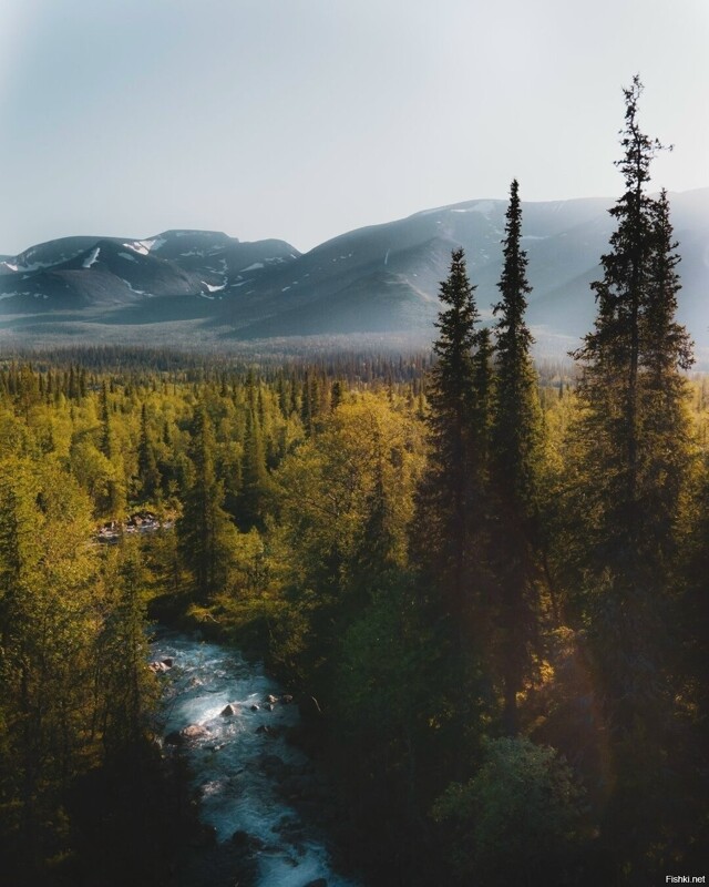 Солянка от 19.02.2026