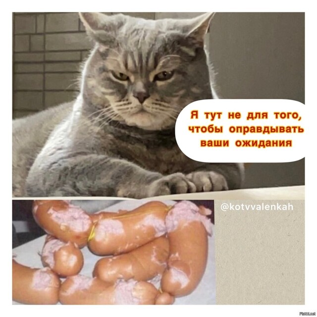 Солянка от 19.02.2026