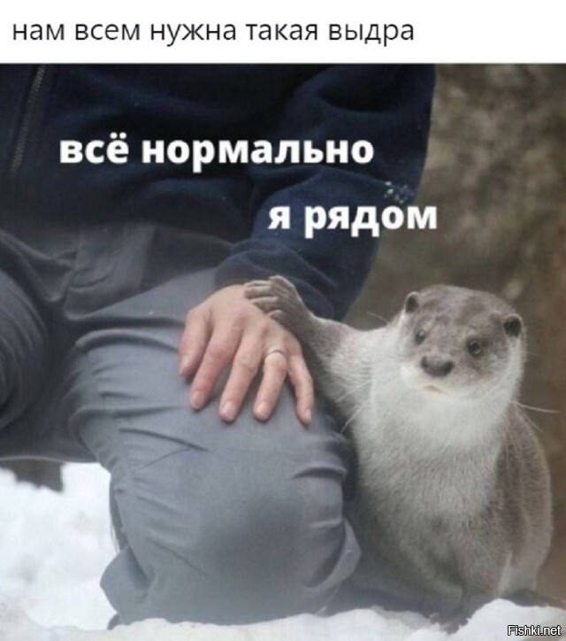 Солянка от 19.02.2026