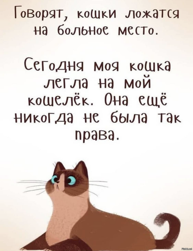 Солянка от 19.02.2026