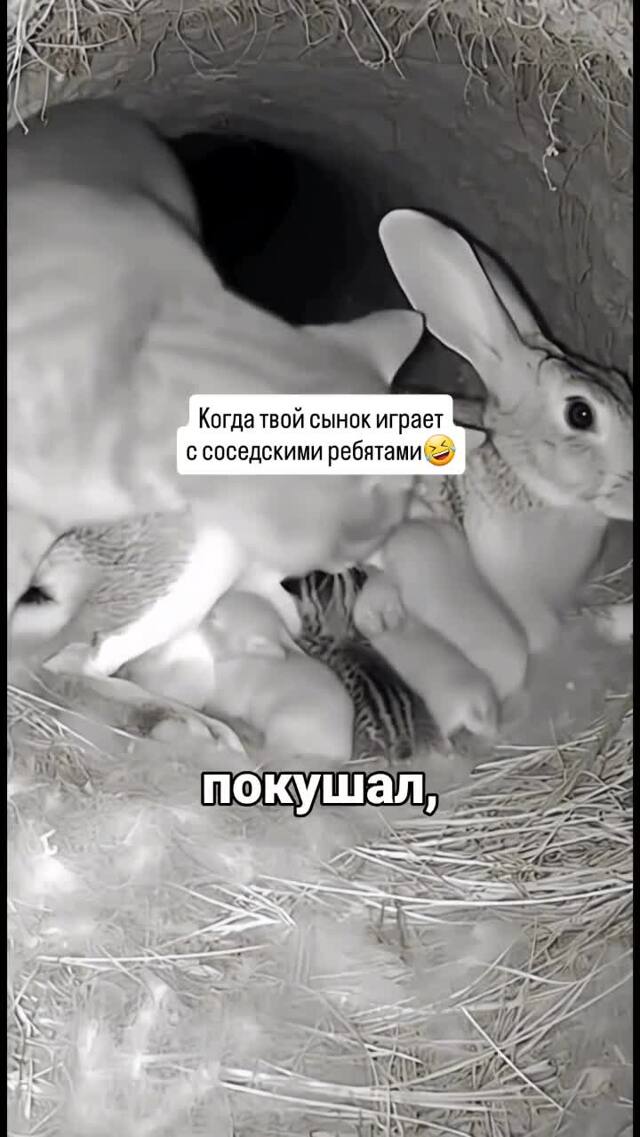 Солянка от 19.02.2026