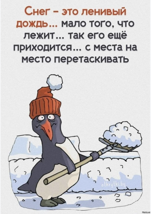 Солянка от 19.02.2026