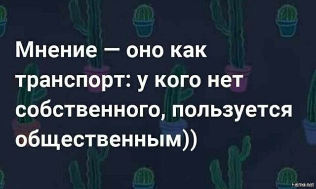 Солянка от 20.02.2026