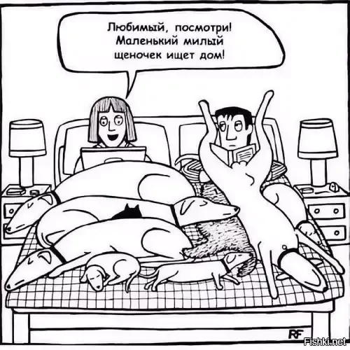 Солянка от 20.02.2026