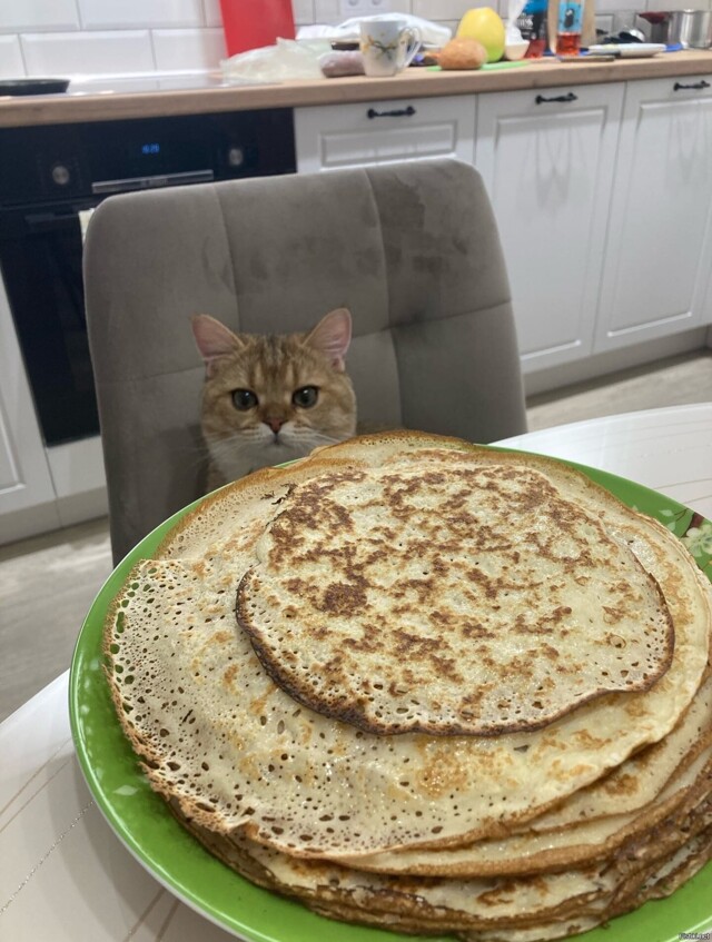 Доброе утро