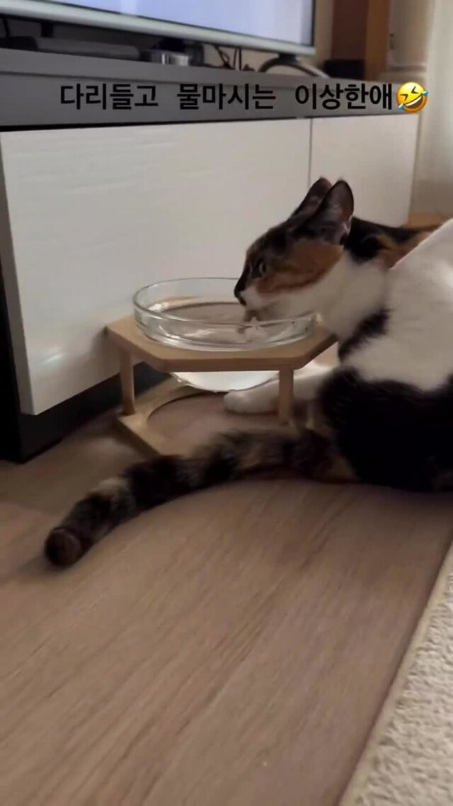 Солянка от 20.02.2026