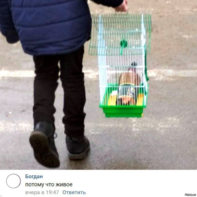 Солянка от 20.02.2026