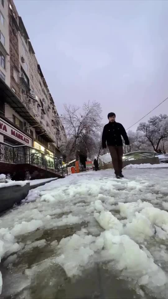 Солянка от 20.02.2026