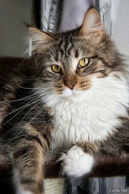 Солянка от 20.02.2026