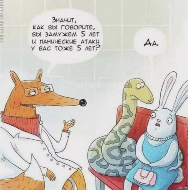 Солянка от 20.02.2026