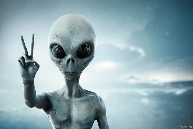 Солянка от 20.02.2026