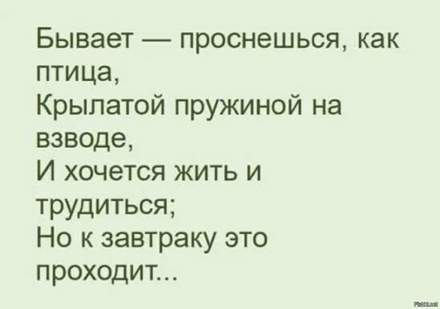 Солянка от 20.02.2026