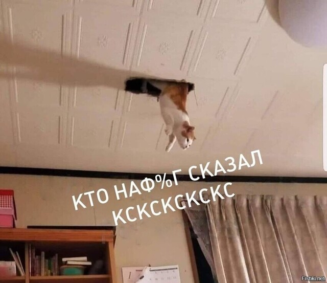 Солянка от 20.02.2026
