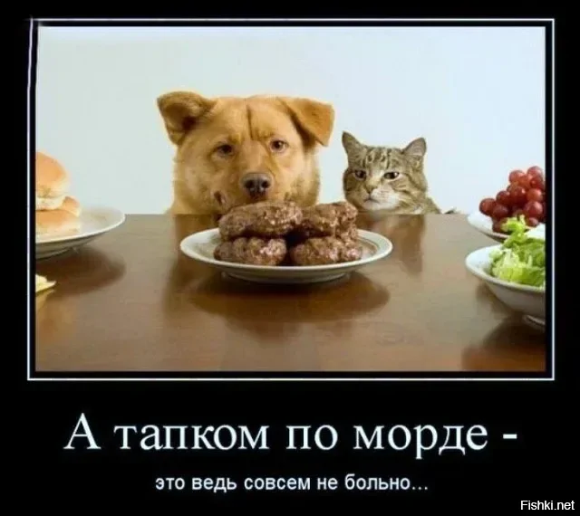 Солянка от 20.02.2026