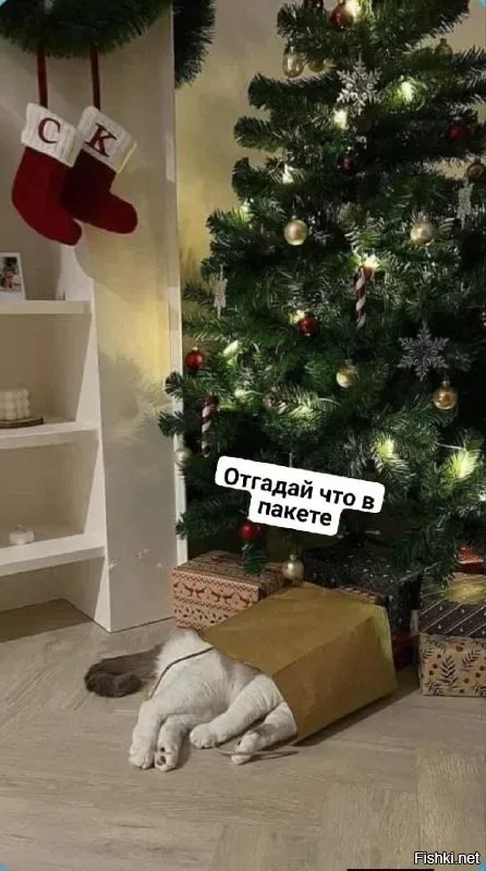 Солянка от 20.02.2026