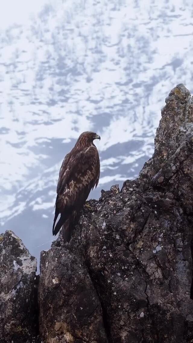 Солянка от 20.02.2026