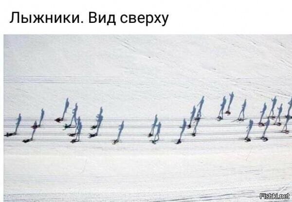 Солянка от 20.02.2026